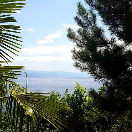 Josephine's Garden *