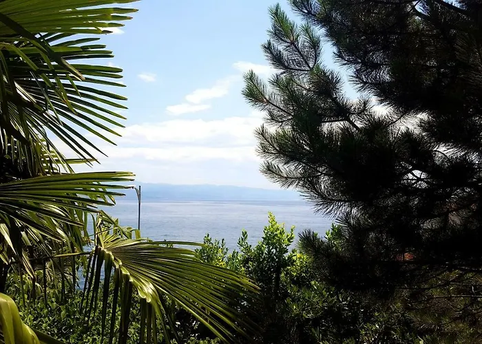 Josephine's Garden *